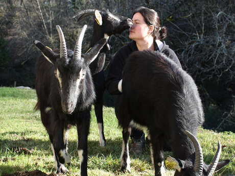 LA FERME QUI REND CHÈVRE