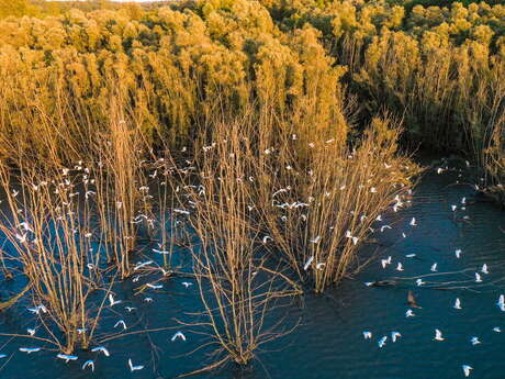 ETANG DU MOURA