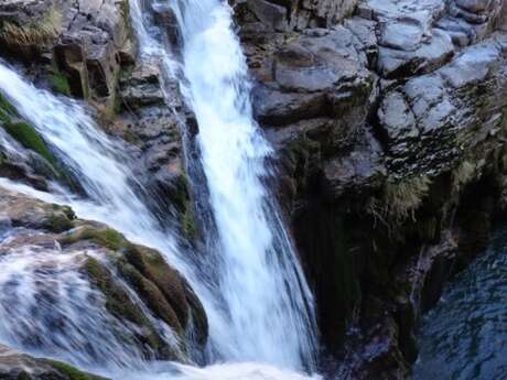 EXCURSIONS 4X4 DECOUVERTE DU MILIEU NATUREL