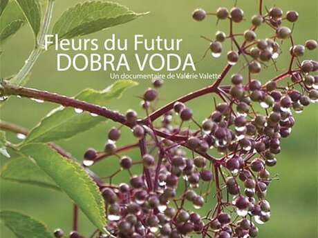 Ciné-débat : Fleurs du futur : Dobra Voda