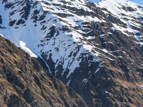 DESCENTE FATBIKE-FATSCOOT