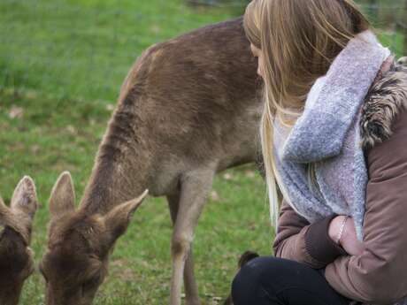 De Ferme en Ferme à Trencalli