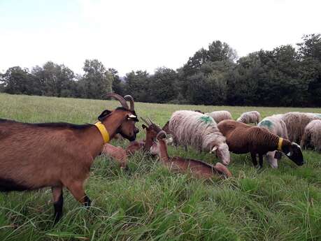 FERME DES HOURCADES