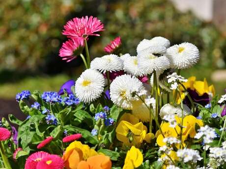 Marché aux Plants et aux Fleurs