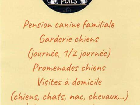 MON BONHEUR PILE POILS