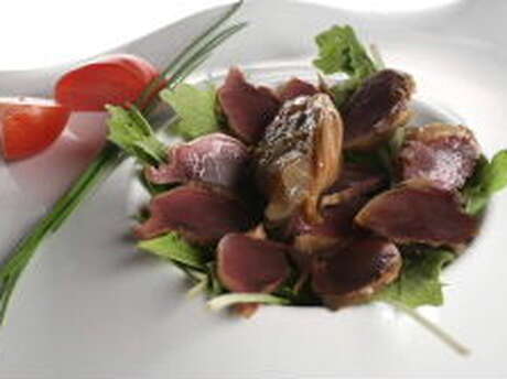 FOIES GRAS GAILHOU DURDOS