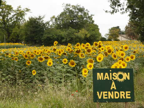 HERREMAN & CHARLES IMMOBILIER