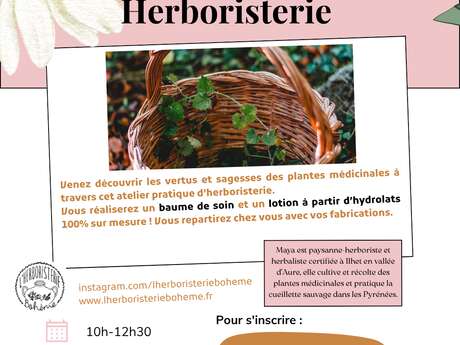 Atelier Herboristerie - Association ArtLab Eclore