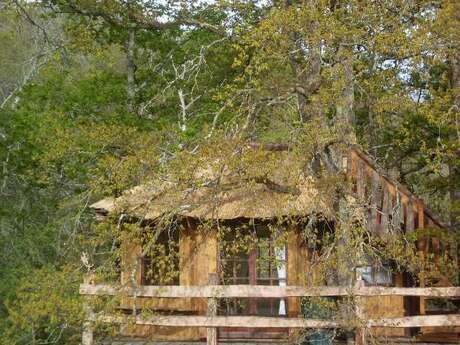 LA CABANE DES CERFS