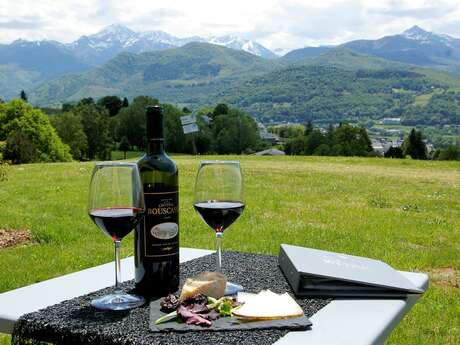 DOMAINE DU GOLF COUNTRY CLUB DE BIGORRE
