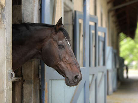 LE HARAS DE TARBES