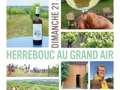 Herrebouc au grand air : journée vigneronne immersive