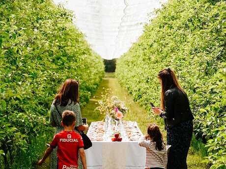 Hort de Poma Experience