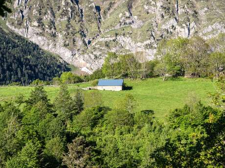 Randonnée culturelle : L'agropastoralisme aux Quatre-Véziaux