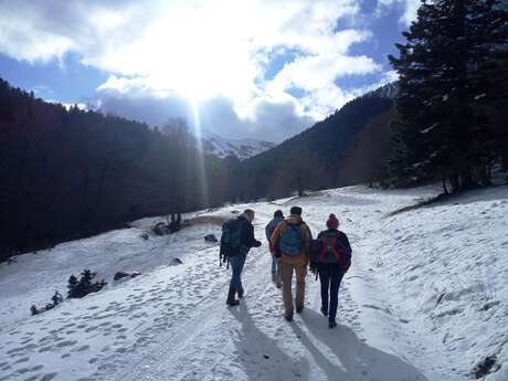 LA MARCHE DU BOIS - ACCOMPAGNATEUR EN MONTAGNE