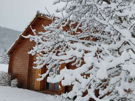 LES PINS NORDIQUES