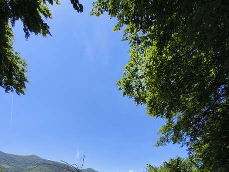 LE PERCHOIR DES PYRÉNÉES - LA BIG'BULLE TRANSPARENTE