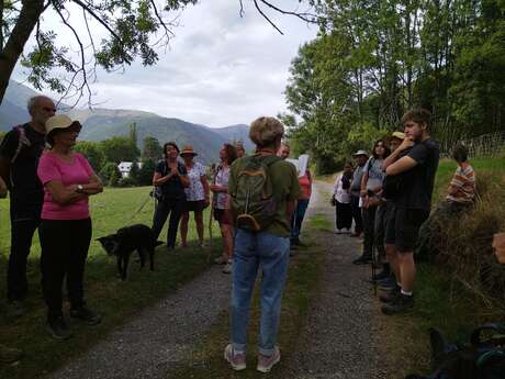 Rencontre et balade "Sylvosophique" : la forêt, patrimoine encore vivant
