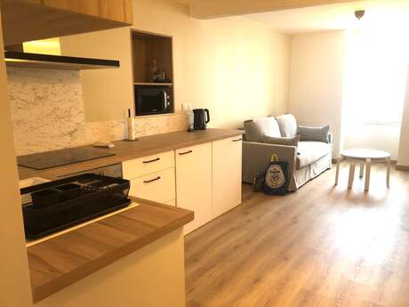 APPARTEMENT CLEMENCEAU