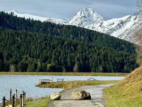 Les Forestières des Pyrénées