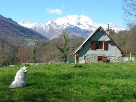 LES P'TITS LOUPS BLANCS
