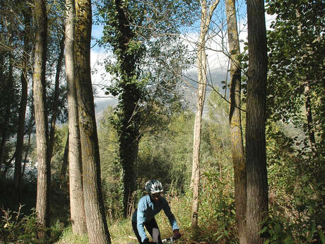 CIRCUIT LOURDES - VOIE VERTE ET SAILHETS