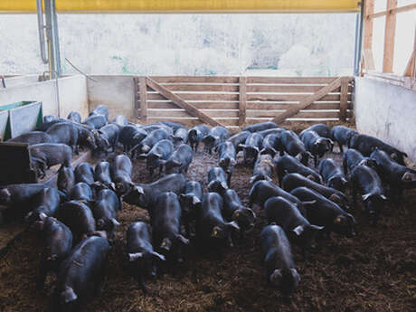 LA FERME DE LUIS