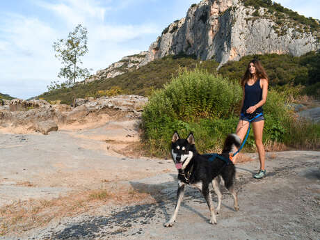 LA FILLE AUX LOUPS