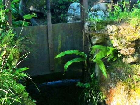 LA SOURCE THERMALE