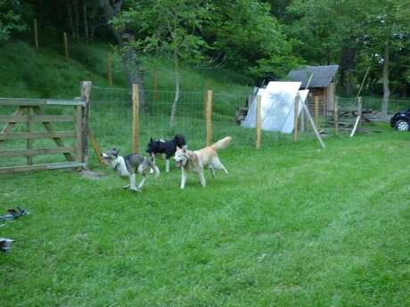 LE REPAIRE DES HUSKYS