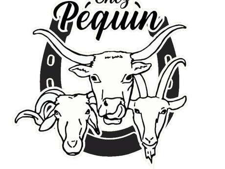 FERME DE CHEZ PEQUÏN
