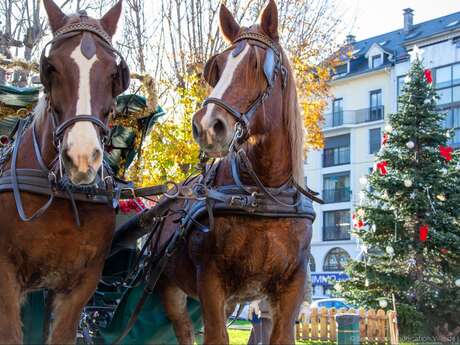 Balades en calèche avec le Père Noël