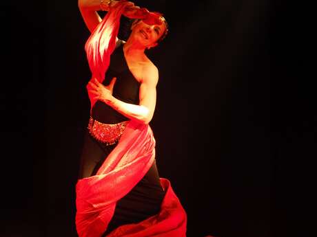 Théâtre "Moi, Médée"
