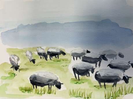 Atelier aquarelle " agropastoralisme"