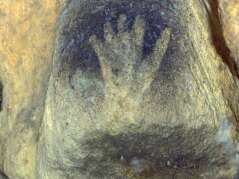 20 000 ANS D'HISTOIRE - NESTES-NISTOS-BAROUSSE