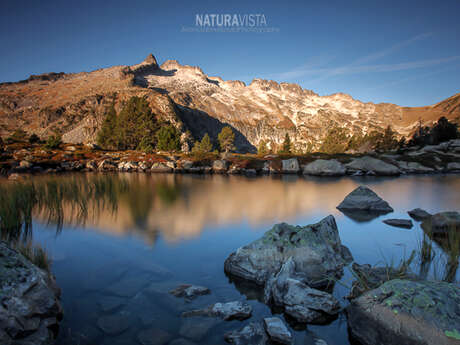 Photographe NATURAVISTA - Jean-Gabriel SOULA