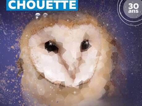 Nuit de la chouette