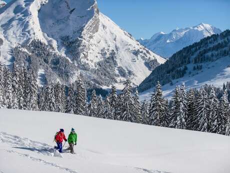 OFFICE DES SPORTS DE MONTAGNE