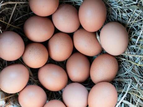 FERME CHEZ CYPRIEN