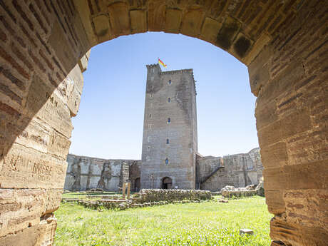 CHÂTEAU DE MONTANER