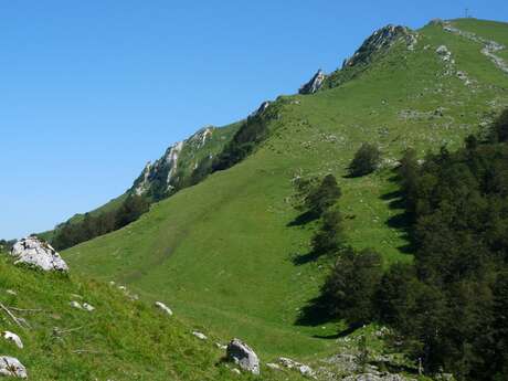 LE SIGNAL DE BASSIA