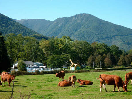 CAMPING "A L'OMBRE DES TILLEULS"