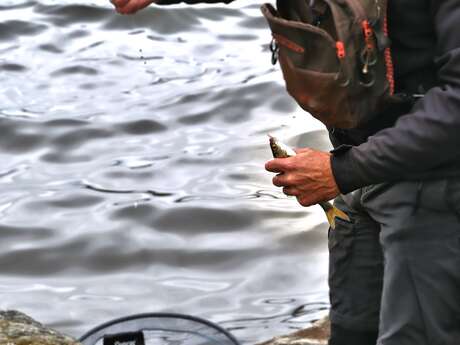 Partie de pêche
