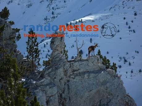 RANDO'NESTES BRUNO CAPESTAN