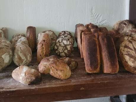 LE FOURNIL DE L'OURSE