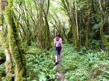 LE CHEMIN DE TILHOUSE