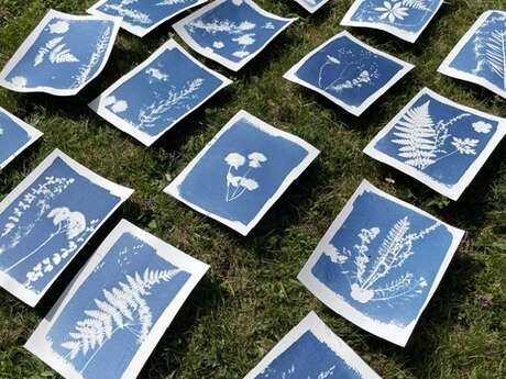 Rando'Cyanotype