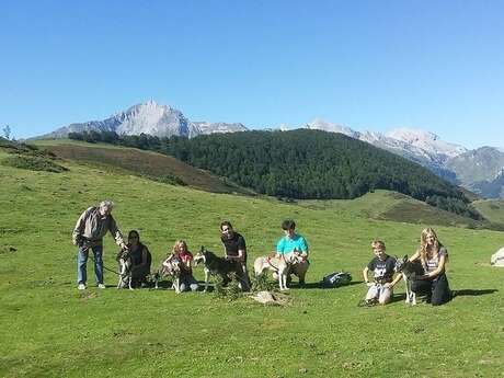 CANI-RANDO - L'APPEL SAUVAGE