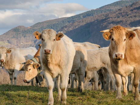 FERME BRETOU