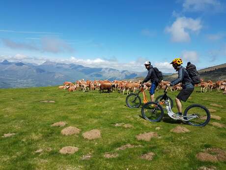 MONT'N'ROLL